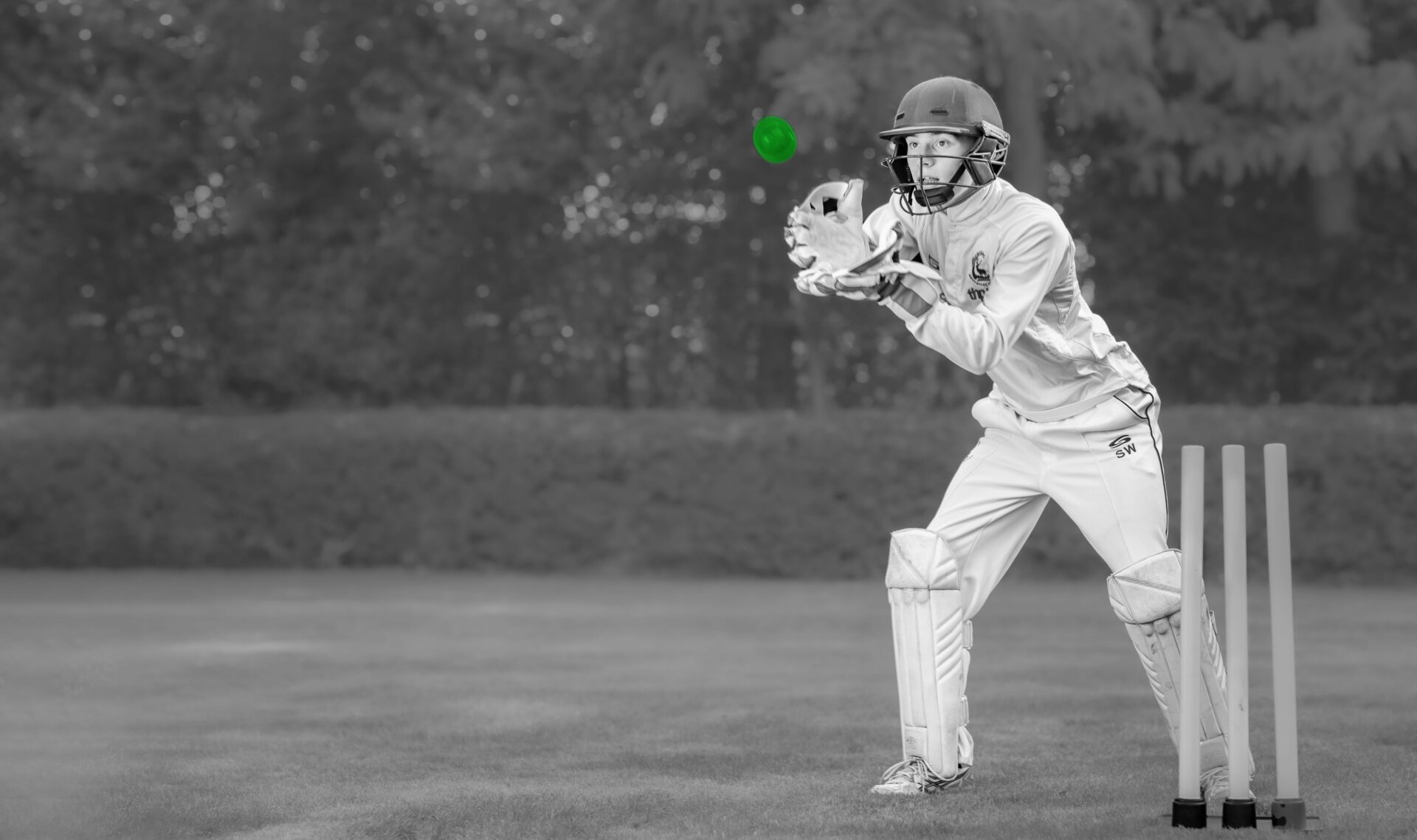 boy catching a ball in cricket