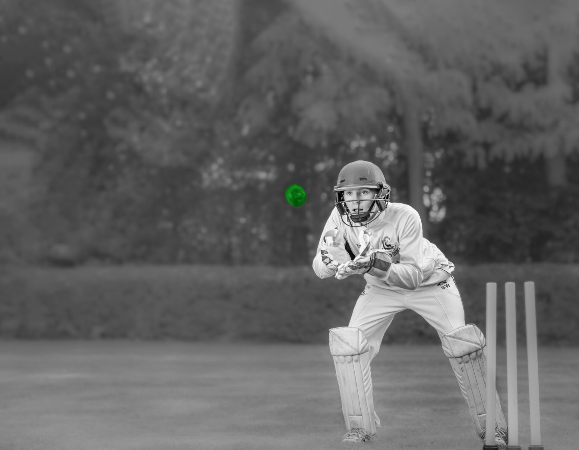 boy catching a ball in cricket